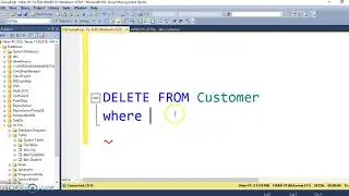 How use DELETE Query in SQL Server Database Part 14