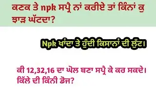 npk ਖਾਂਦਾ ਤੇ ਹੁੰਦੀ ਕਿਸਾਨਾਂ ਦੀ ਲੁੱਟ। npk 12,32,16 ਘੋਲ ਬਣਾ ਕੇ ਸਪ੍ਰੈ ਕਰ ਸਕਦੇ?