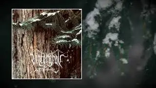 VINTERGRAV — ELDERWOODS [Full EP]