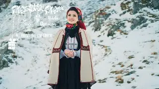 Violeta Gherman ❄ Ingerii din cer cantau 🎄 COLIND 2023 🎄