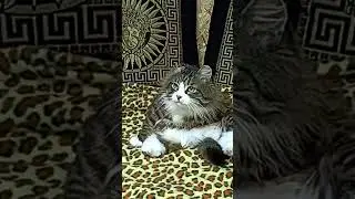 не такой как все