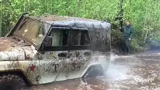 И снова наша потатуха в лесу