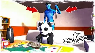 ЛУЧШИЙ МАНЬЯК ЗА ВСЮ ИСТОРИЮ МАНЬЯКА В CS:GO! ПАНДА ПРОТИВ АВАТАРА!