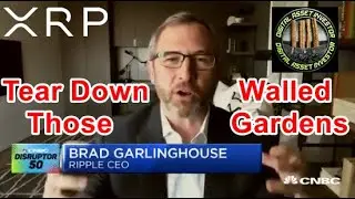 XRP Preferred Base Currency , Safe Haven Assets , PayID And Ripple WEF Connection