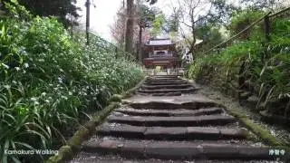 Kamakura Walking[1]