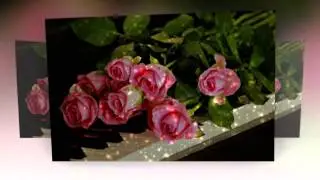 Красивые женщины (А.Добронравов)