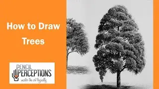 How to draw trees