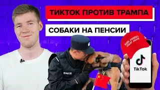 Трамп обиделся || Собакены на пенсии