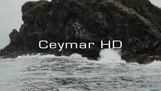New 2023 Okuma Ceymar HD Reel