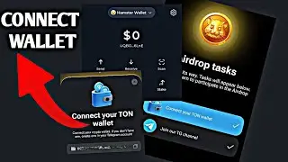 Connect Your TON Wallet - Hamster Kombat Airdrop