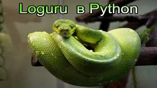 Loguru  в python