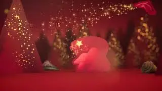 Neuhaus Chocolate - Pop-up Advent Calendar 2020