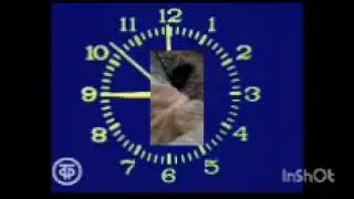8 сентября 2025 г.