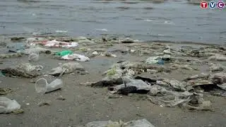 Environmental pollution is a global problem