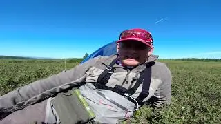 Вместо хариуса щука  Поверхностные приманки