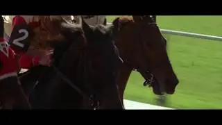 Первый Победный Забег Сухаря. Фильм Фаворит.
