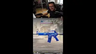 10/10 skin in Counter-Strike 2