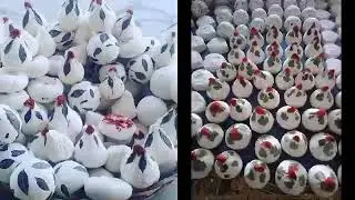 РАВШАН ПАТИР