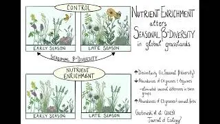 Nutrient enrichment alters β-diversity in global grasslands