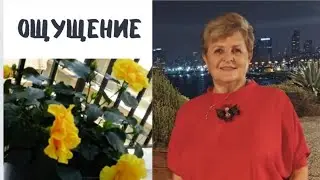 Кем ты себя ощущаешь? #ощущения