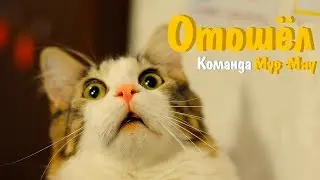 Лучшие Приколы 2017 АВГУСТ —Танцуем!