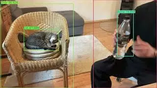Real-time Object Detection using Detection Transformer | Implemented from Scratch using PyTorch