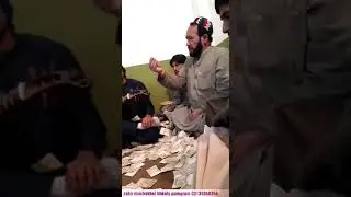Zahir mashokhel khkuly parogram 2020