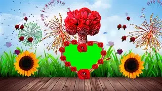Wedding background video Green Screen effect || Natural Beautiful photo frame HD video effects 2021