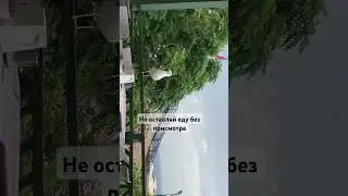 Чайки всегда готовы прийти на помощь #турция#кемер#gypsophila #чайка