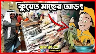 সার্ক পাইকারি মাছের আড়ৎ । কুয়েতের সবচাইতে বড় মাছের বাজার। কুয়েত ব্লগ-০৫। ২০২২