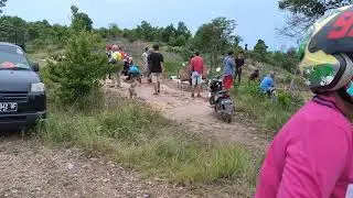 menangkap babi