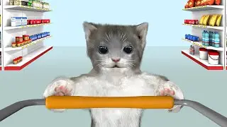 Cat in the store