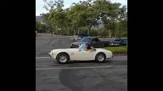 Looks like this is a 289 Shelby Cobra. #shelby #shelbycobra