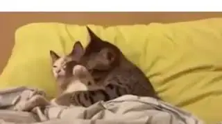 When you in the mood and your girl wanna sleep