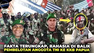 Mengapa Anggota TNI Bergabung Dengan KKB Papua? Penyebab Pembelotan Eks Anggota TNI Gabung KKB PAPUA