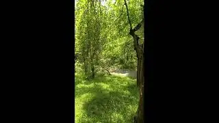 Райский уголок.