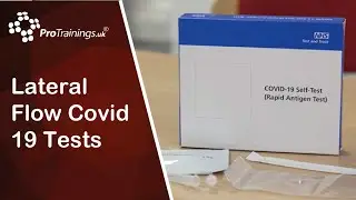 Lateral Flow Covid 19 Tests