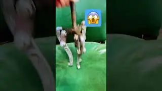 How to make a pulley puller dance￼
