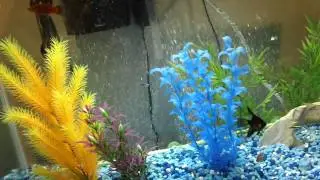 My bubble wall...+