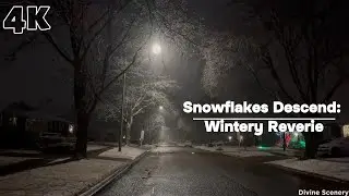 [4K] Snowfall Scenes : Exploring Winter's Beauty at Night || Brantford city || Ontario || Canada