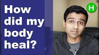 How my Body Healed Ulcerative Colitis | The Healing Phase
