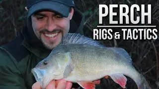 Perch Fishing with Prawns - Rigs & Tactics | TAFishing