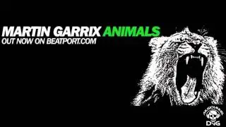 Martin Garrix - Animals