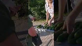 Через весь город на фермерскую ярмарку #shorts #new #gopro #cycling #cinematic