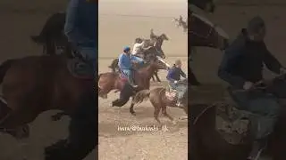 Беҳруз човандоз 🐎 