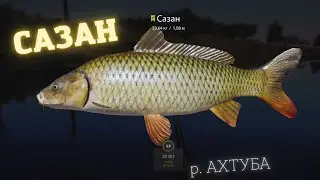 Русская рыбалка 4 (РР4) р. АХТУБА САЗАН Russian fishing 4 AKHTUBA