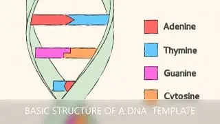 BIOCHEMISTRY ALBUMS-GENETIC MATERIAL