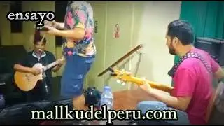 Ensayo Mallku.
