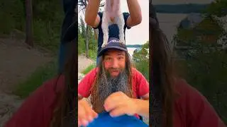 August 30 Bday?🥳Whens URS??🤷‍♂️ #happybirthday #birthday #handpan #dog #dogs @NovaPansHandpans