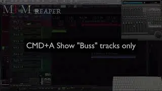 CUSTOM ACTION 11: "CMD+A" Show/zoom ONLY tracks with BUSS in the name